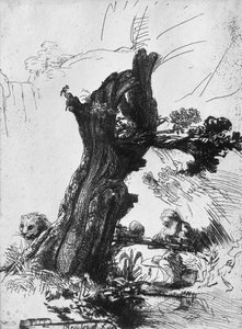 聖ジェロームの執筆、1648 作： Rembrandt van Rijn